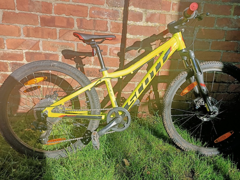 scott scale disc 24