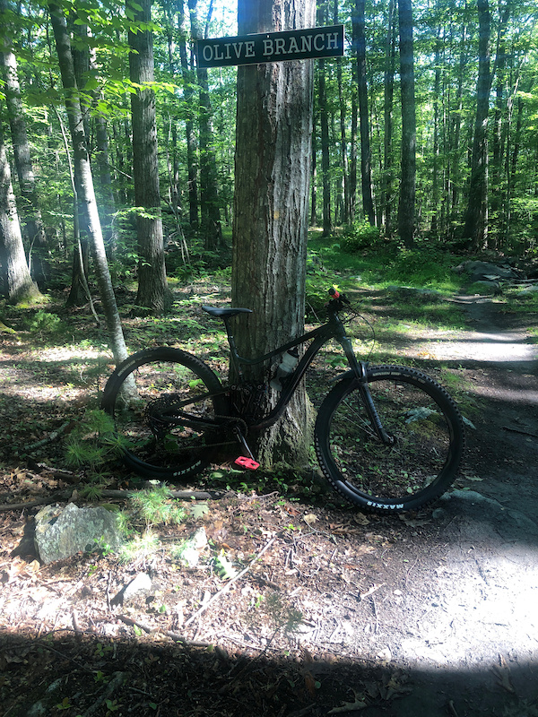 Olive Branch Mountain Biking Trail Exeter, NH