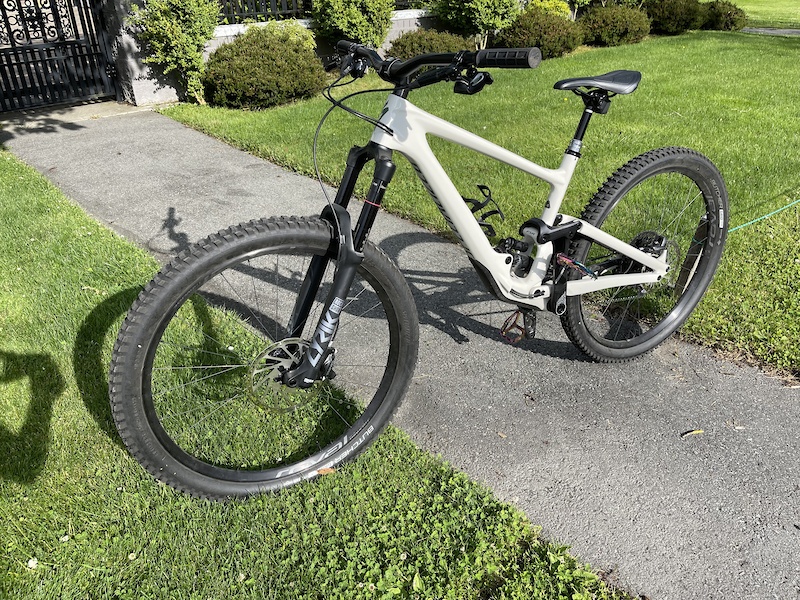 specialized elite carbon 2019