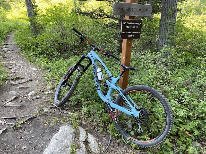 Palisades Mountain Biking Trail - Red Lodge, Montana