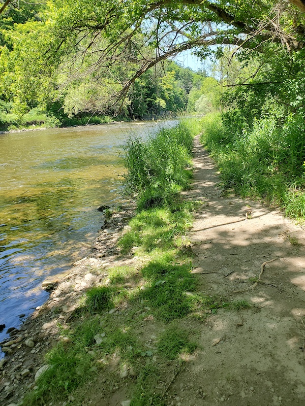 erindale park bike trail