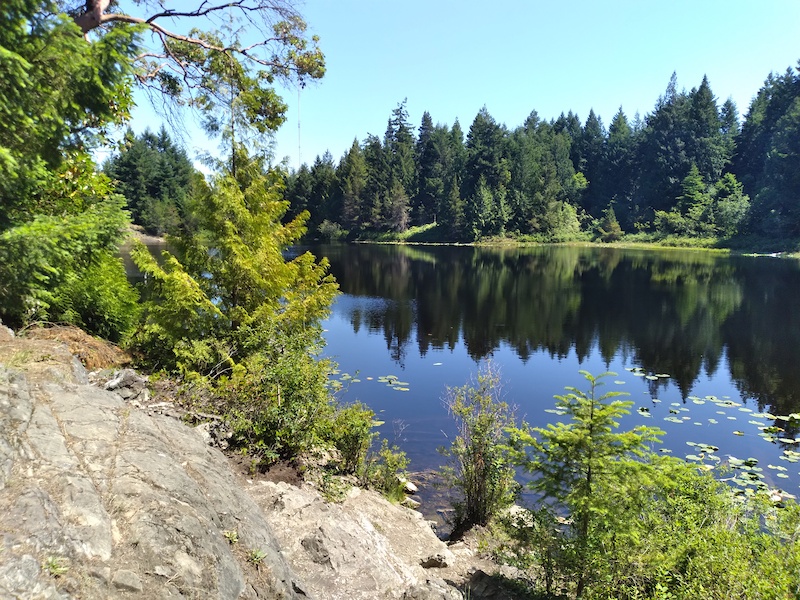 Lost Lake loop Mountain Biking Trail Nanaimo, BC