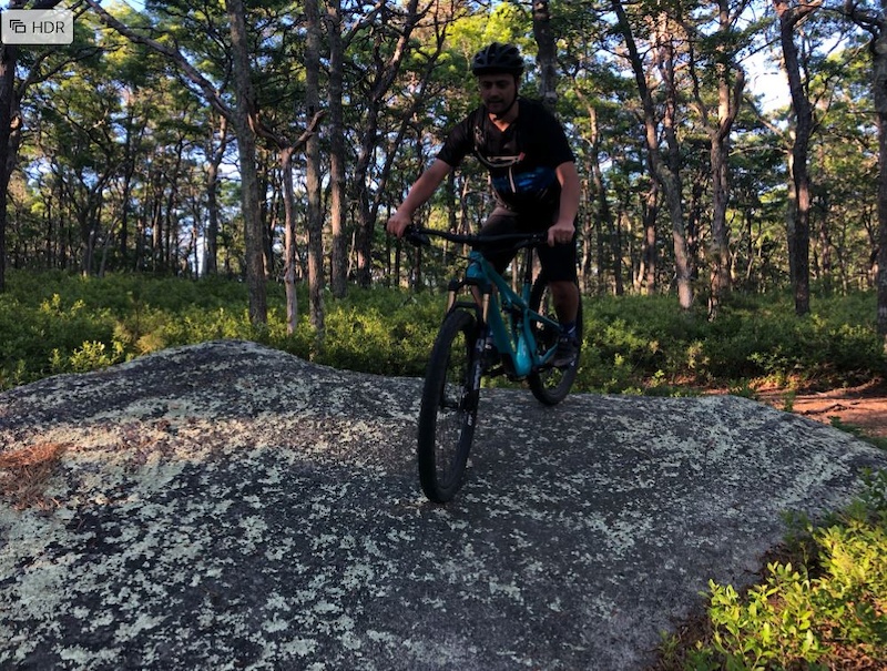 A mountain biker riding on a bermed rock slab section through a forest.