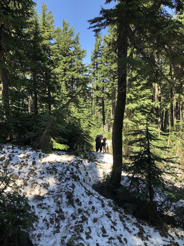Gunsight Butte Trail 685 Multi Trail Parkdale, Oregon