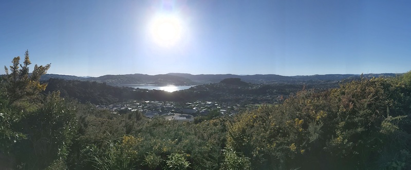 Aotea Park Loop Mountain Biking Route Trailforks