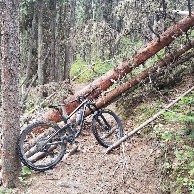 Powderface Ridge Multi Trail Bragg Creek, Alberta