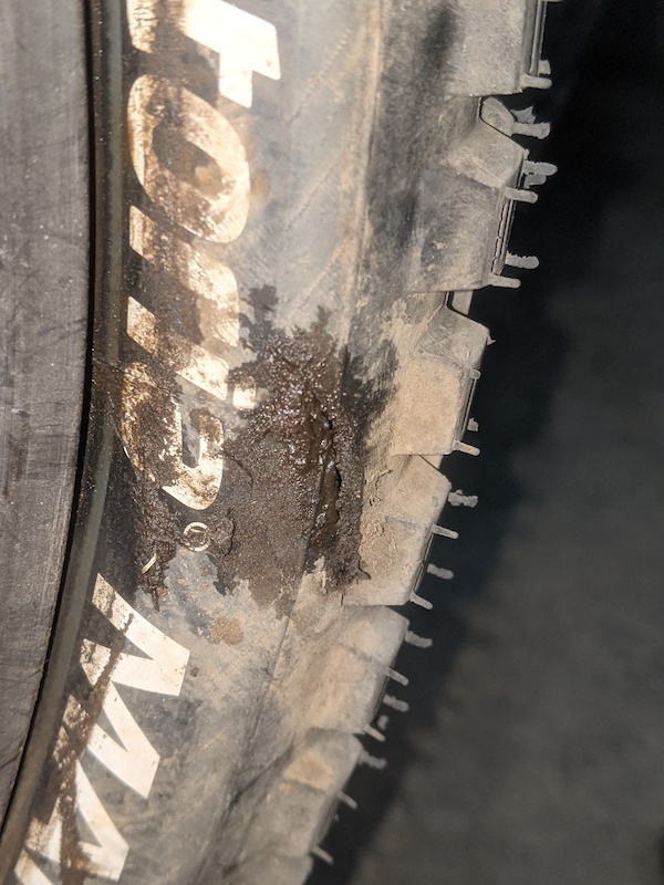 Norco Optik 3rd ride