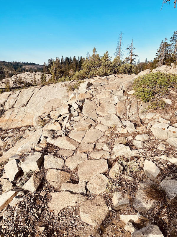 Dozen Lake Rim Donner Lake Rim Trail Double Lolipop Trail Running Route | Trailforks