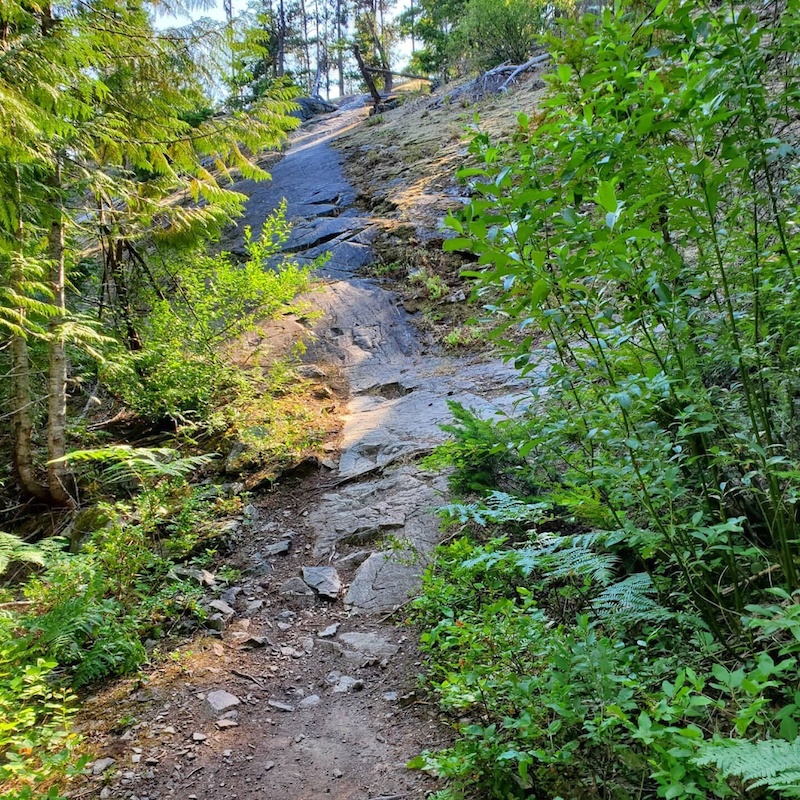 Fay Pickering Memorial Trails Mill Creek Park Mountain Biking Trails