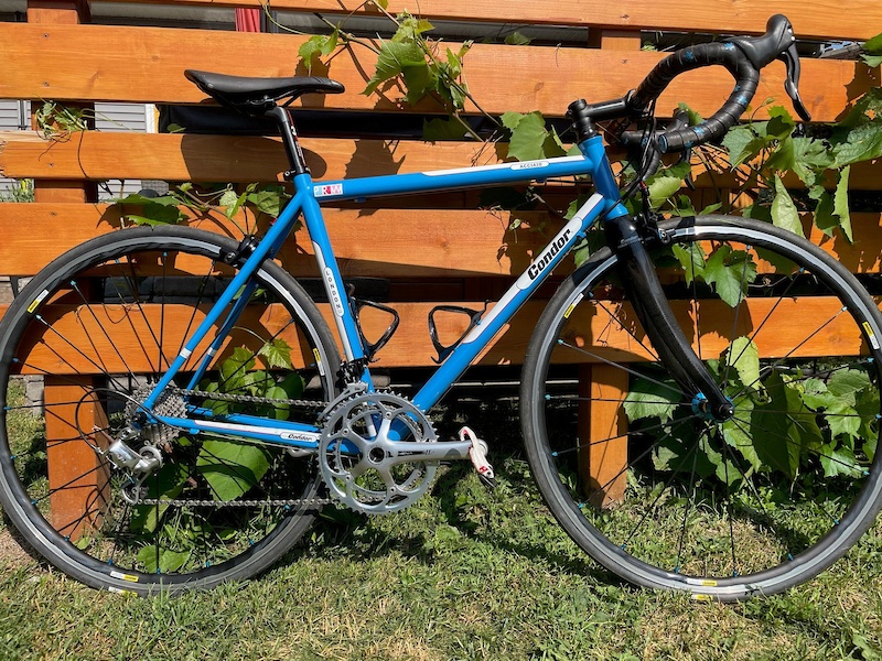 Condor Acciaio For Sale