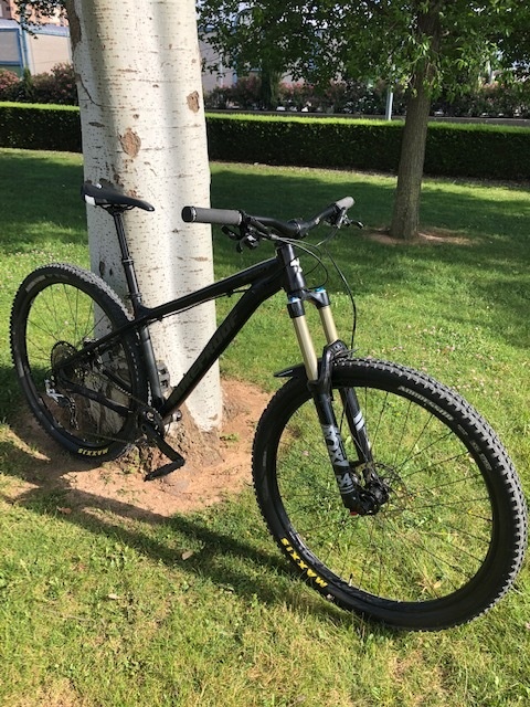 2018 nukeproof scout