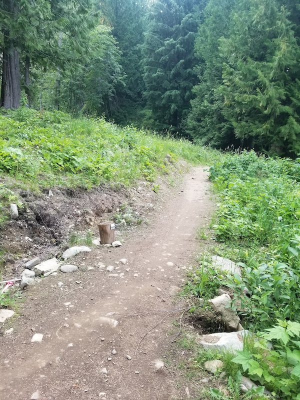 Top Up Mountain Biking Trail Rossland, British Columbia