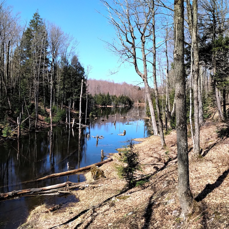 ValDesMonts, Quebec Skiing Trails Trailforks