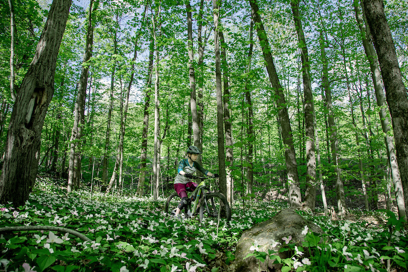 Montebello Nord Bleu Mountain Biking Route Trailforks