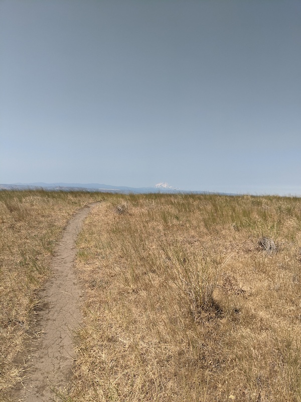 Columbia Hills Historical State Park, Dallesport Mountain Biking Trails