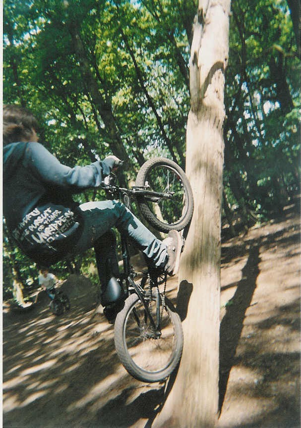 Tree Ride