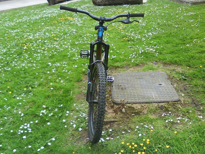 front view if new forks
