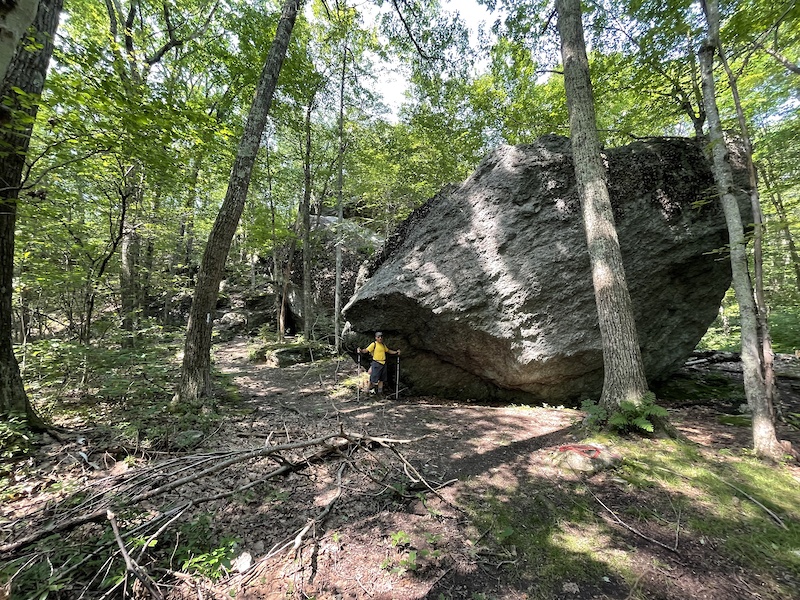 Tunxis Trail Hiking Trail Barkhamsted, CT Trailforks