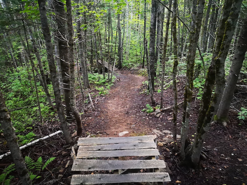 Hoot n' Holler Mountain Biking Trail - Fredericton