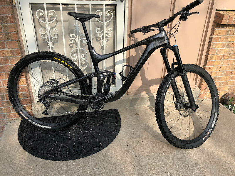 giant reign custom paint