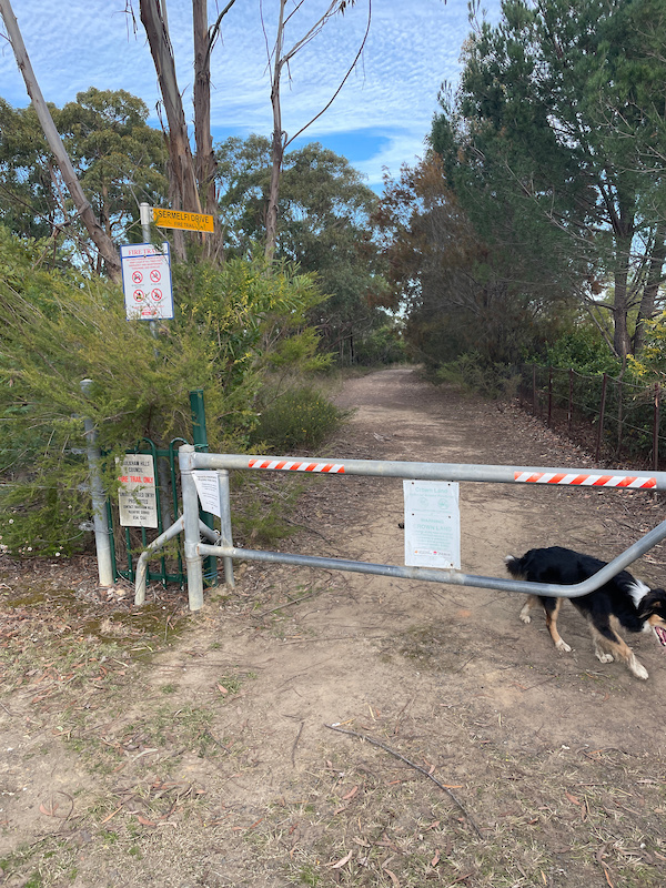 Les Shore Trail Mountain Biking Trail Hornsby
