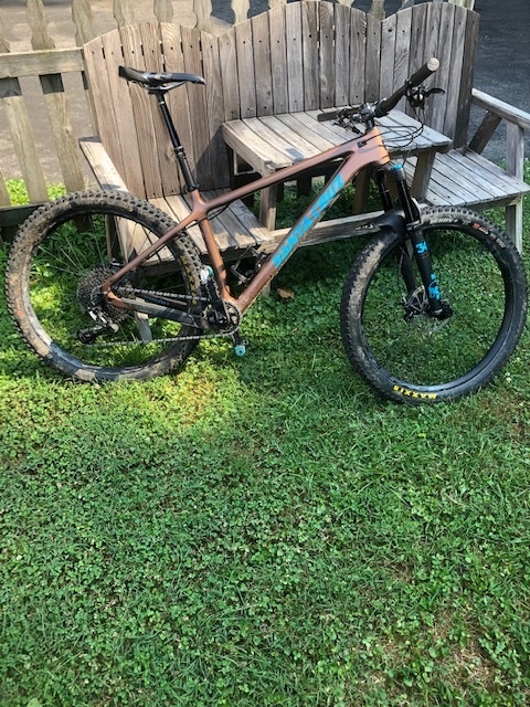 santa cruz chameleon c