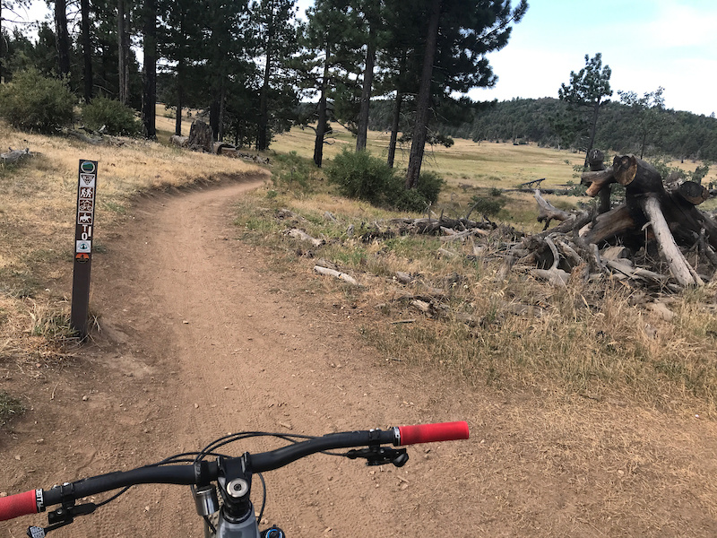 laguna mountain bike trails