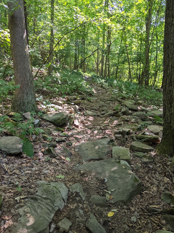 Quemahoning Reservoir, Davidsville Mountain Biking Trails | Trailforks