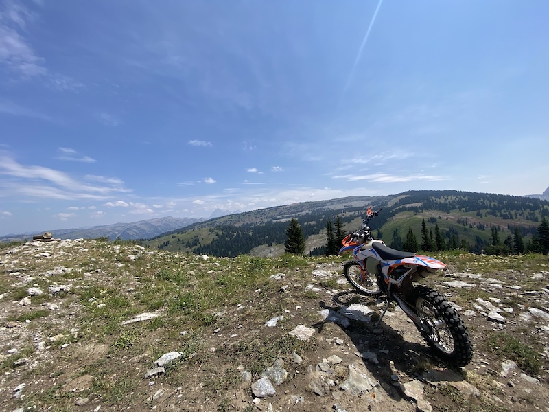 buy crf50