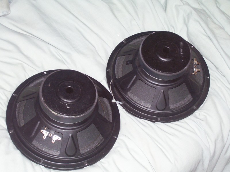 2 10" car subs For Sale
