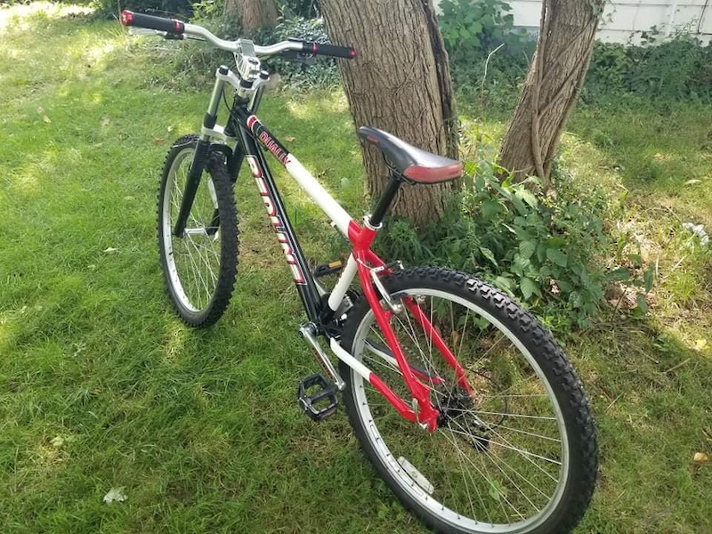 redline dually mountain bike