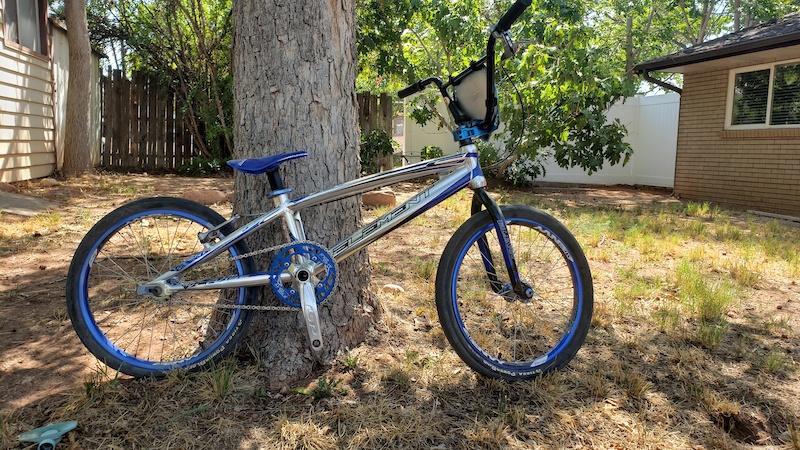 chase element expert xl