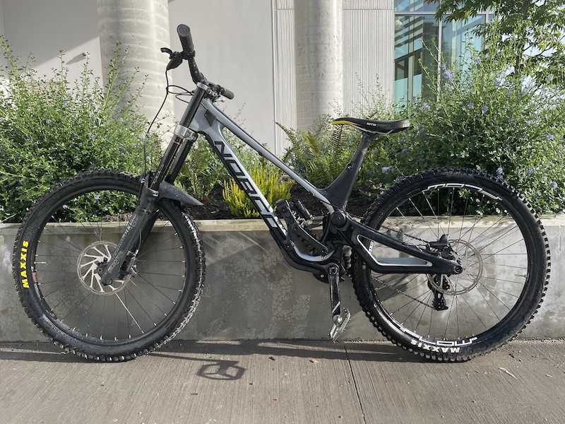 norco aurum hsp 2