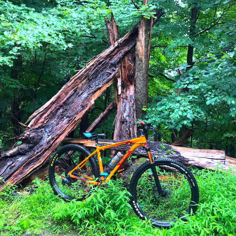 Boyce park discount mountain bike trails