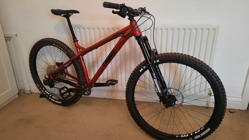 ragley big al 29er