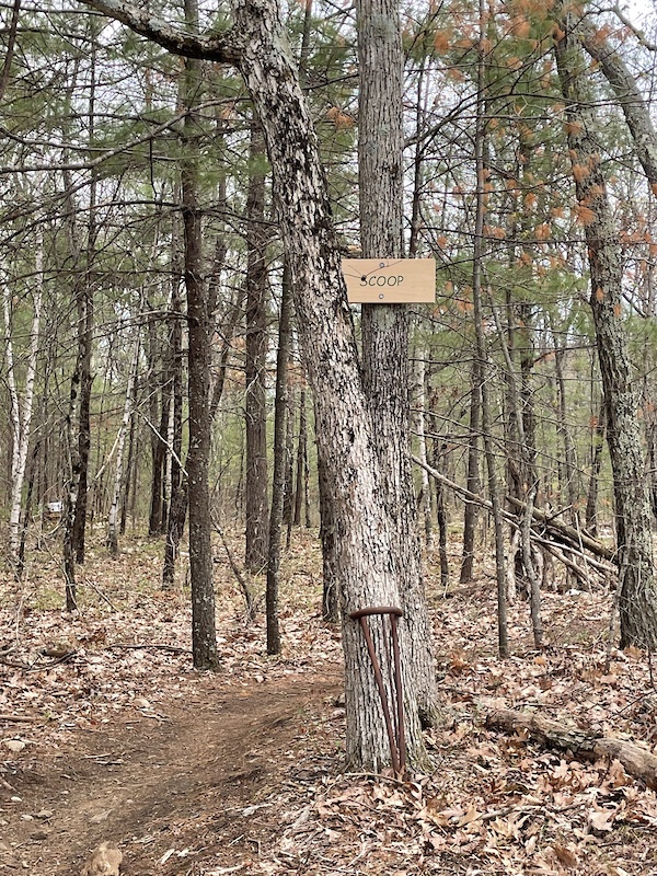 Scoop Mountain Biking Trail Windham, New Hampshire