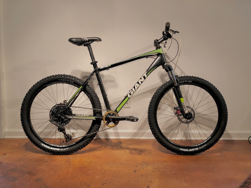 giant hardtail