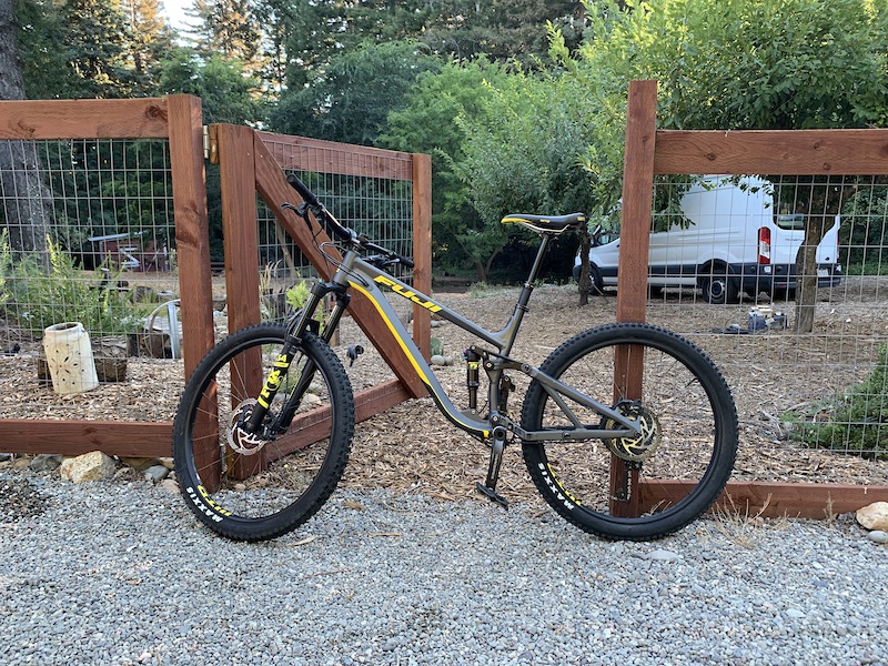 fuji auric 2020