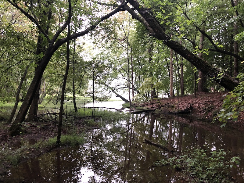 Bicentennial Greenway (South) Multi Trail Greensboro, NC