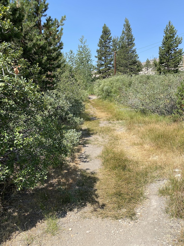 Dutch Flat Donner Lake Wagon Road Hiking Trail Truckee 2862