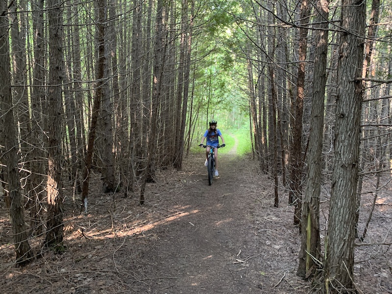 The Inside Down Mountain Biking Trail - Picton, Ontario