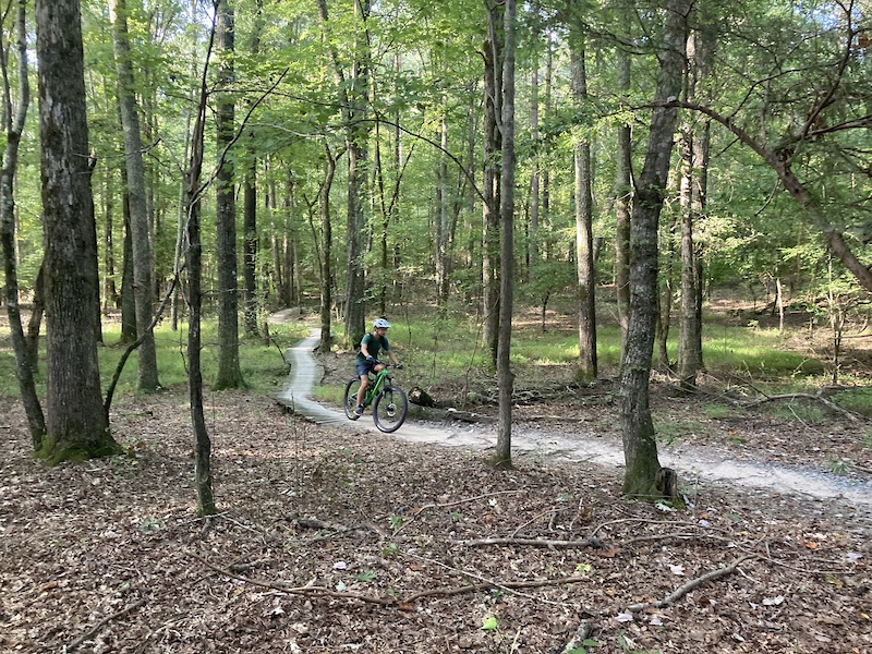 Harris Lake County Park Mountain Biking Trails Trailforks