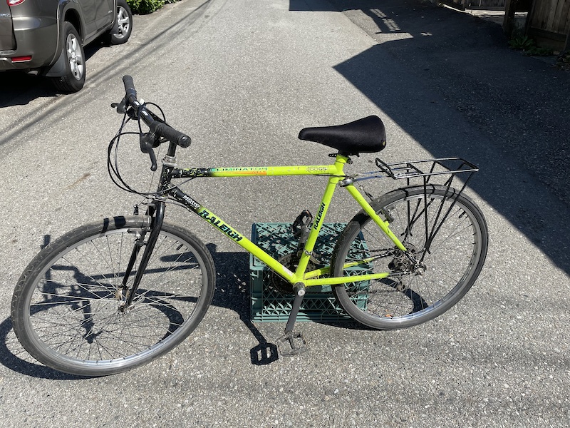 raleigh eliminator 24