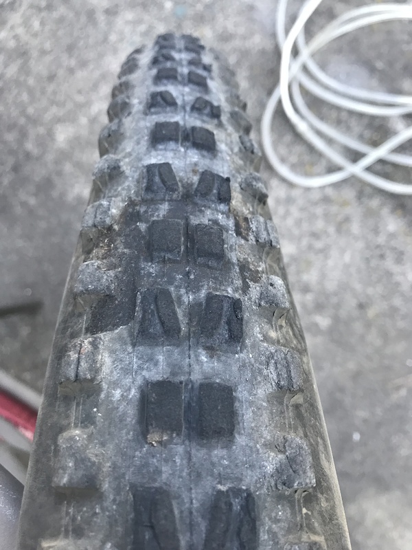 Maxxis,Schwalbe, WTB, and Bontrager tires For Sale