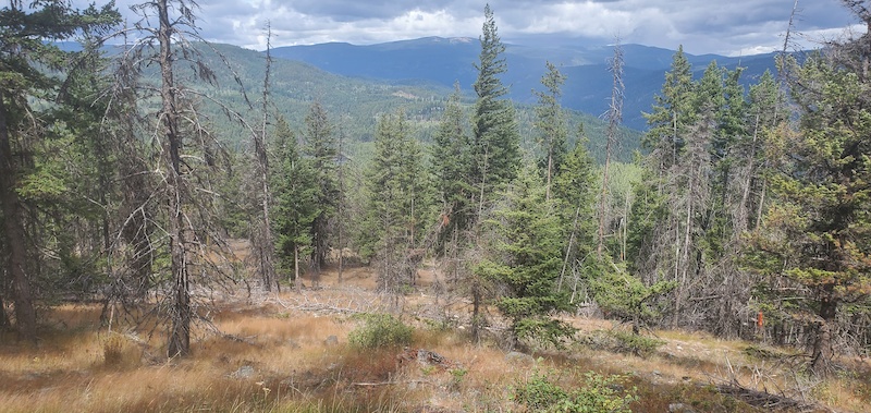 Silver Lake Lookout Trail Hiking Trail Peachland