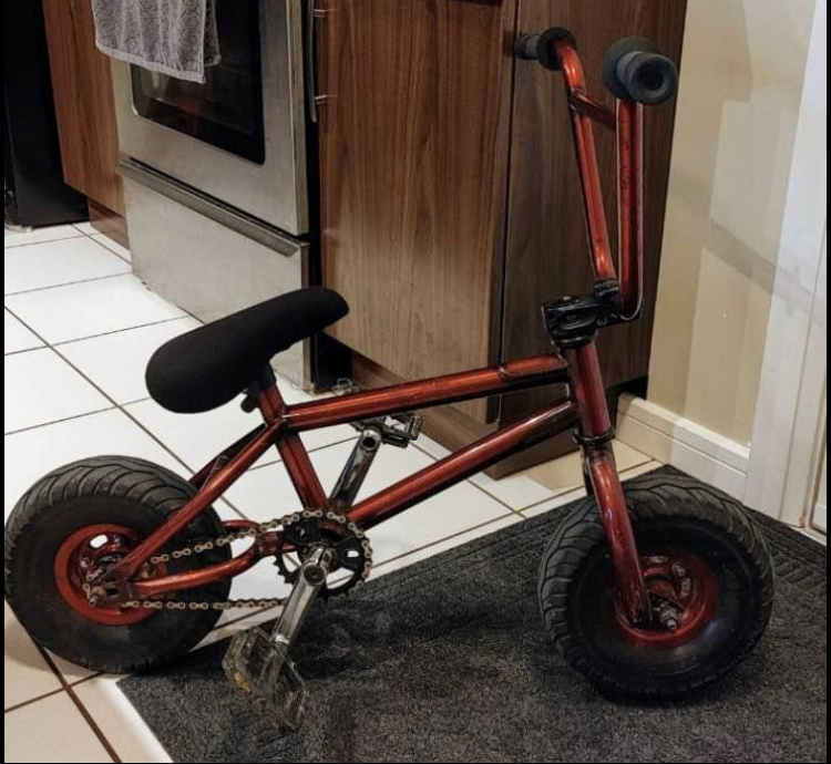 bmx mini for sale