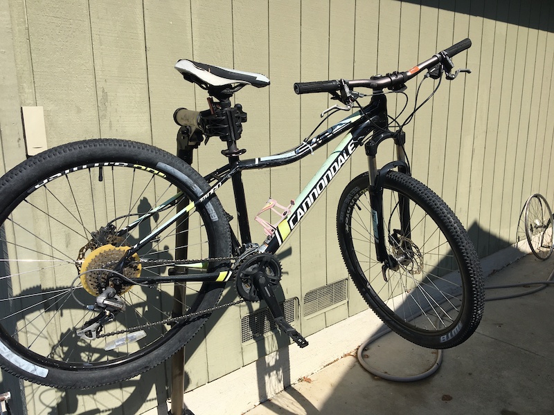 radio flyer all terrain stroll n trike