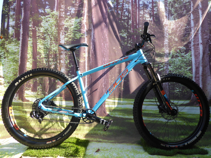 905 discount whyte 2018