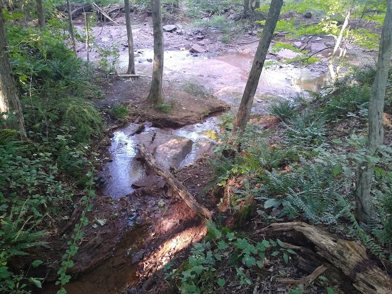 Frenchtown Preserve, Frenchtown Mountain Biking Trails Trailforks