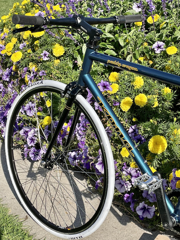 kona paddy wagon 2020